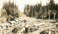 Logging Camp 4 at Railroad Wye